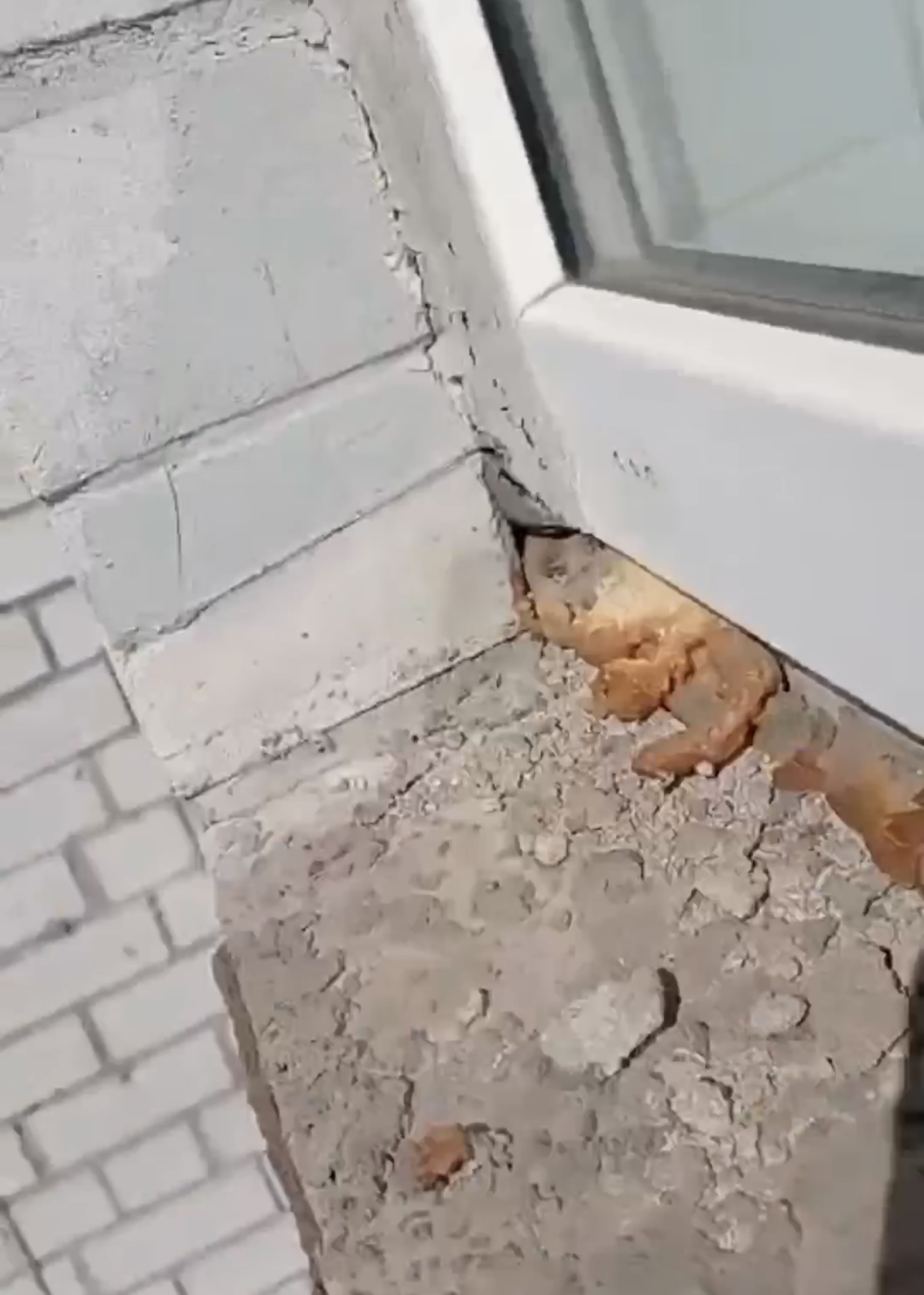 Ремонт окон