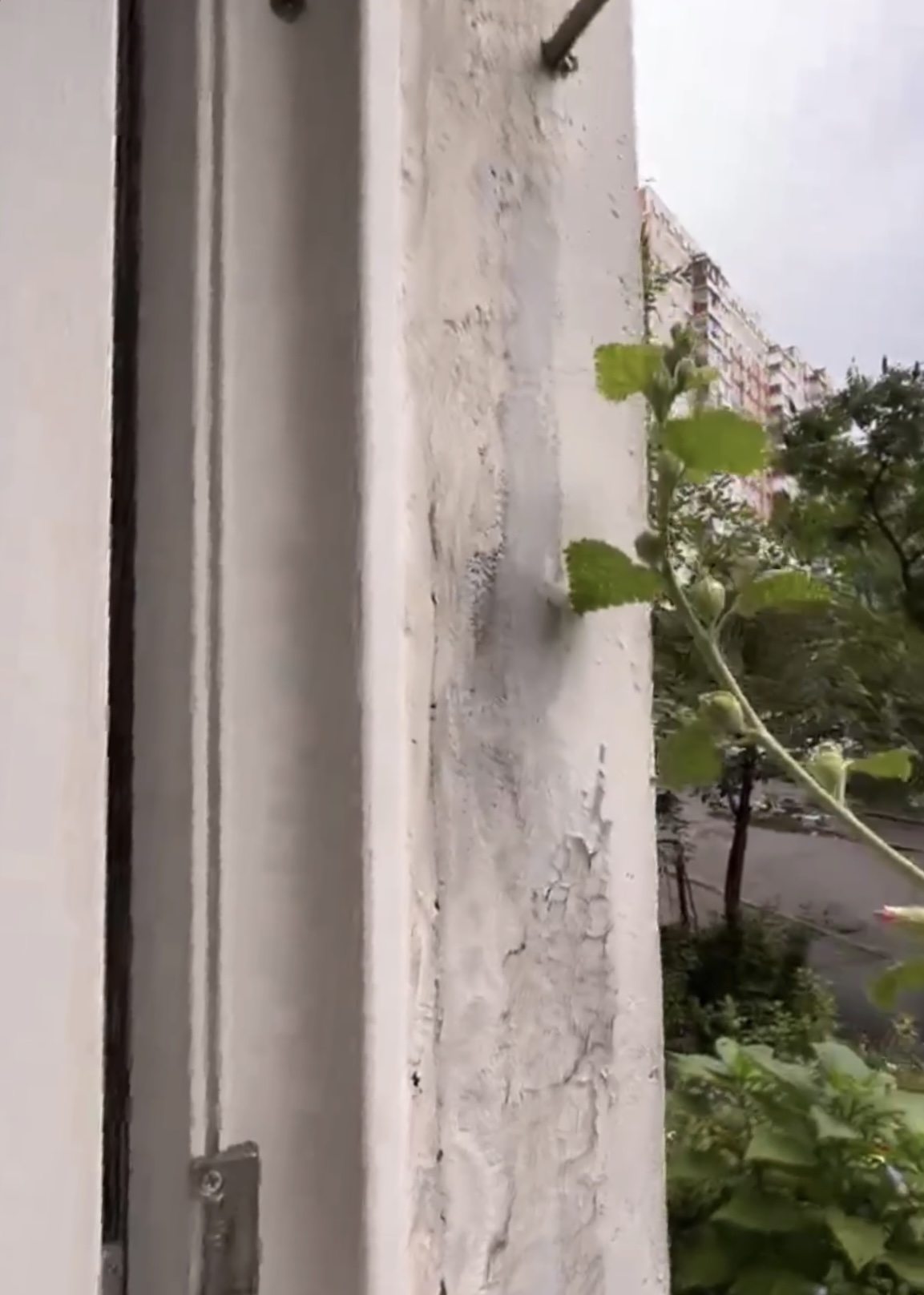 До ремонту